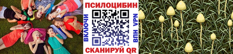 наркошоп Лысково блэк спрут ССЫЛКА Галлюциногенные грибы Cubensis