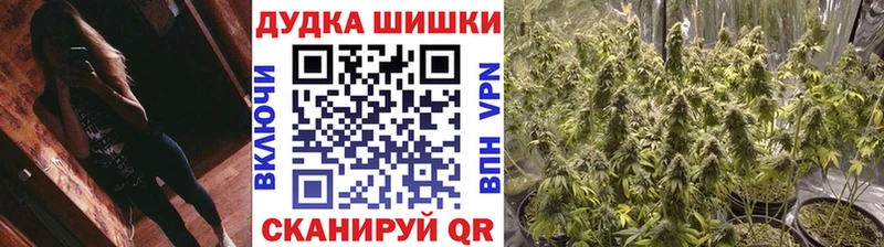 Шишки марихуана Amnesia  omg сайт  Лысково 